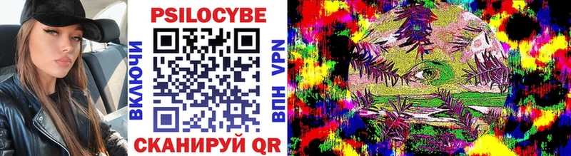 Купить закладки  Вельск  Галлюциногенные грибы MAGIC MUSHROOMS 